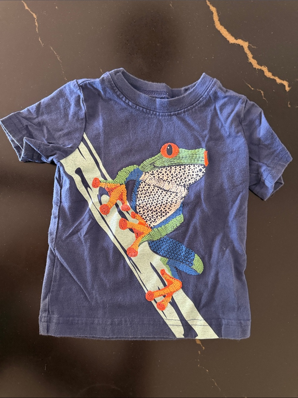 Blue Kids T-Shirt with Frog Graphic